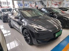 Tesla Model Y Rear-Wheel Drive - ფოტო 3