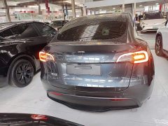 Tesla Model Y Rear-Wheel Drive - ფოტო 5