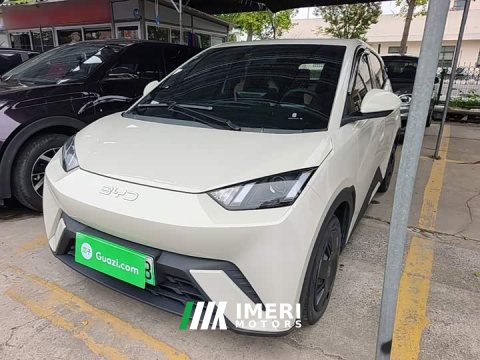2024 BYD Seagull Glory Edition 305km Vitality Version - ავტომობილი ჩინეთიდან
