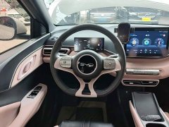 BYD Seagull Glory Edition 305km Vitality Version - ფოტო 10