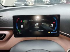 BYD Seagull Glory Edition 305km Vitality Version - ფოტო 11