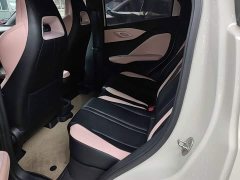 BYD Seagull Glory Edition 305km Vitality Version - ფოტო 16