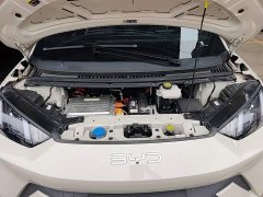 BYD Seagull Glory Edition 305km Vitality Version - ფოტო 19