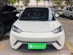 BYD Seagull Glory Edition 305km Vitality Version - ფოტო 2