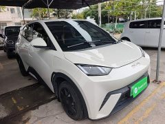 BYD Seagull Glory Edition 305km Vitality Version - ფოტო 3