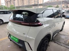 BYD Seagull Glory Edition 305km Vitality Version - ფოტო 6