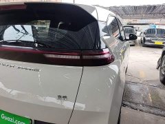 BYD Seagull Glory Edition 305km Vitality Version - ფოტო 7