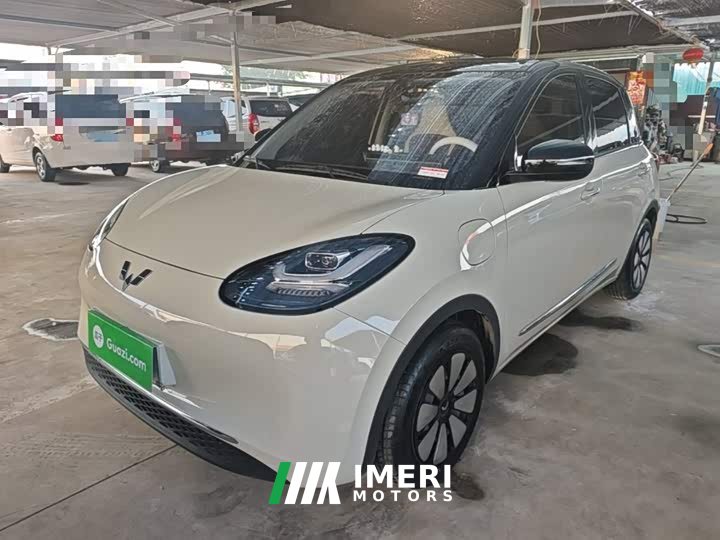 Wuling Binguo 333km Joy Edition - car from China