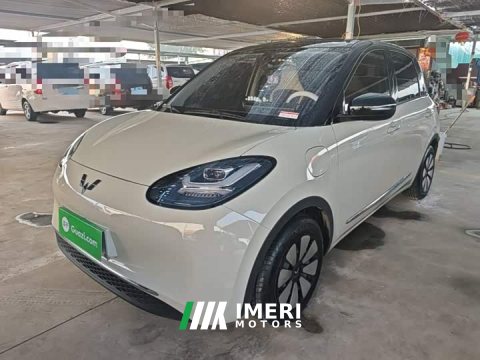 2024 Wuling Binguo 333km Joy Edition - car from China
