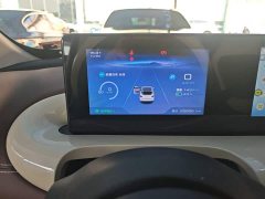 Wuling Binguo 333km Joy Edition - photo 11