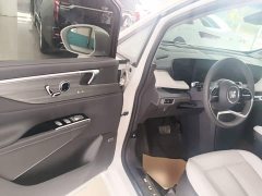 Buick GL8 Luzun Respect Edition - ფოტო 15