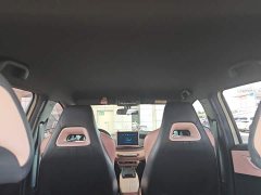 BYD Seagull Flying Edition - ფოტო 17