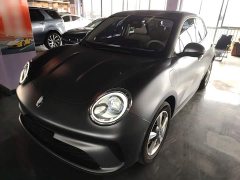 ORA Good Cat 430km Deluxe Edition - ფოტო 1