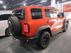 Tank 300 Off-Road Edition 2.0T Conqueror - ფოტო 6