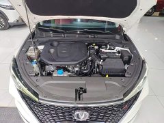 Changan Eado PLUS Blue Whale NE 1.4T GDI DCT Flagship - фото 19