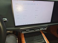 Li Auto L6 Pro - ფოტო 17