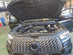 Volkswagen Cannon 2.0T Commercial Auto Diesel 4WD Elite Long Bed GW4D20M - фото 19