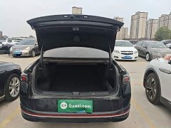 Volkswagen Magotan 380TSI DSG Prestige Edition with Grand Magotan Package - фото 18