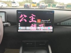 BYD Seal 06 DM-i Smart Drive Edition 80KM Luxury - фото 12