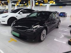Tesla Model 3 Standard Range RWD Upgrade - ფოტო 1