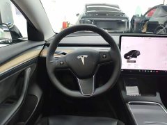 Tesla Model 3 Standard Range RWD Upgrade - ფოტო 10
