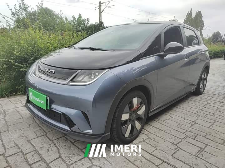 BYD Dolphin 520km Knight Edition - ავტომობილი ჩინეთიდან