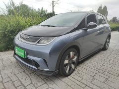 BYD Dolphin 520km Knight Edition - ფოტო 1