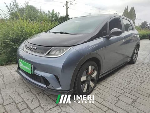 2024 BYD Dolphin 520km Knight Edition - ავტომობილი ჩინეთიდან