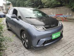 BYD Dolphin 520km Knight Edition - ფოტო 3