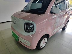 FAW Besturn Xiaoma 222km Dynamic Edition - ფოტო 1