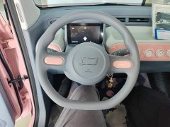 FAW Besturn Xiaoma 222km Dynamic Edition - ფოტო 10