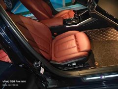 BMW 3 Series Facelift 320Li M Sport Package - ფოტო 7
