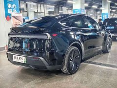 Tesla Model Y Rear-Wheel Drive - ფოტო 11