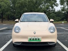 ORA Good Cat 401km Standard Range Luxury LFP - ფოტო 1