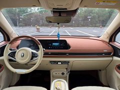ORA Good Cat 401km Standard Range Luxury LFP - ფოტო 10