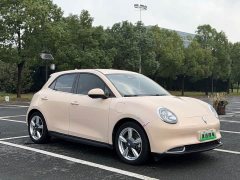 ORA Good Cat 401km Standard Range Luxury LFP - ფოტო 2
