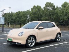 ORA Good Cat 401km Standard Range Luxury LFP - ფოტო 3