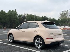 ORA Good Cat 401km Standard Range Luxury LFP - ფოტო 5