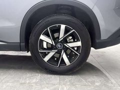 BYD Song Pro EV Honor Edition DM-i 71KM Beyond Edition - photo 15