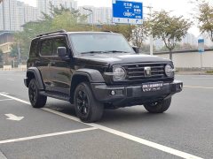 Tank 300 2.0T Challenger - ფოტო 3