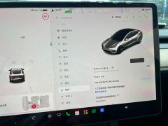 Tesla Model 3 Standard Range RWD Upgrade 3D6 - ფოტო 4