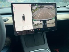 Tesla Model 3 Standard Range RWD Upgrade 3D6 - ფოტო 5