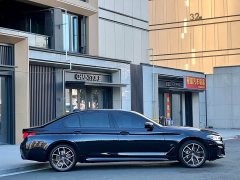 BMW 5 Series 530Li Premier M Sport Package - ფოტო 8