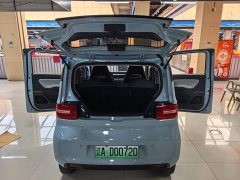 Wuling Hongguang MINIEV Deluxe Edition LFP Battery - ფოტო 9