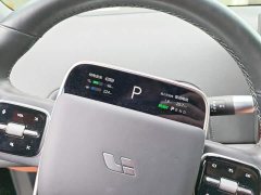 Li Auto L6 Max - ფოტო 14