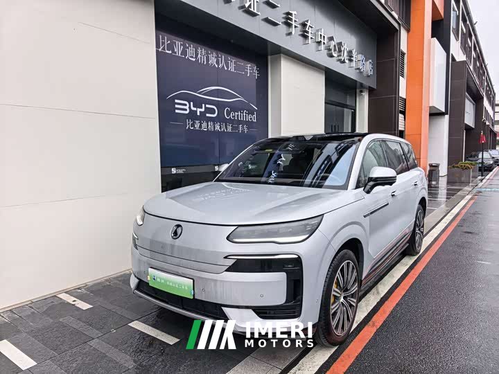Denza N9 Premium Edition - car from China