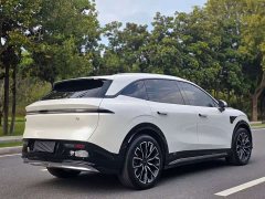Zeekr 7X 75kWh RWD Smart Driving Edition - ფოტო 9