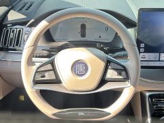 BYD Yuan Plus DM-i Glory Edition 112KM Flagship - ფოტო 13