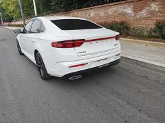 Geely Xingrui 2.0T Diesel Premium Edition - ფოტო 12