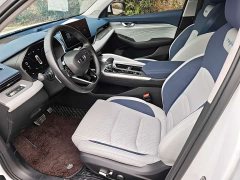 Geely Xingrui 2.0T Diesel Premium Edition - ფოტო 4